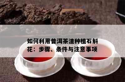 如何利用普洱茶渣种植石斛花：步骤、条件与注意事项