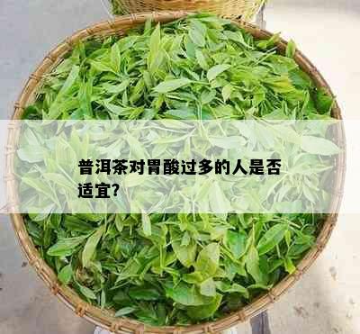 普洱茶对胃酸过多的人是否适宜？