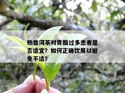 熟普洱茶对胃酸过多患者是否适宜？如何正确饮用以避免不适？