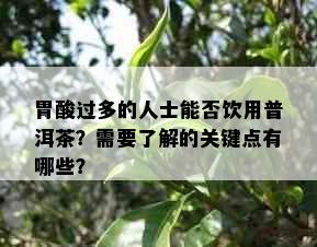 胃酸过多的人士能否饮用普洱茶？需要了解的关键点有哪些？