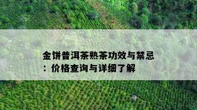 金饼普洱茶熟茶功效与禁忌：价格查询与详细了解