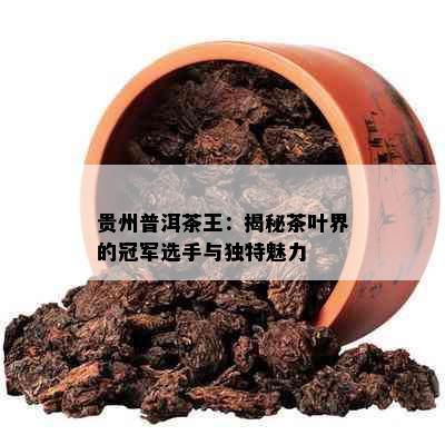 贵州普洱茶王：揭秘茶叶界的冠军选手与独特魅力