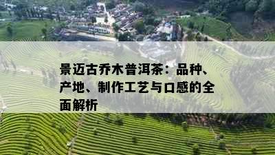 景迈古乔木普洱茶：品种、产地、制作工艺与口感的全面解析