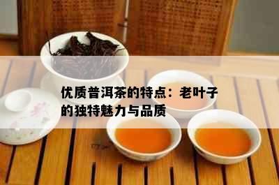 优质普洱茶的特点：老叶子的独特魅力与品质