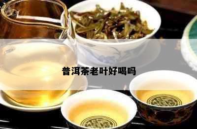 普洱茶老叶好喝吗