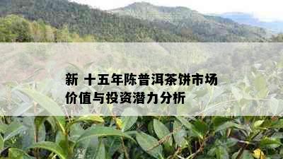 新 十五年陈普洱茶饼市场价值与投资潜力分析