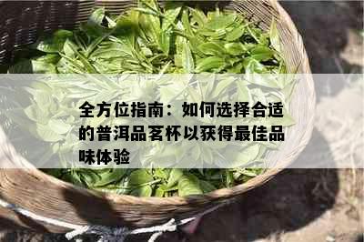 全方位指南：如何选择合适的普洱品茗杯以获得更佳品味体验