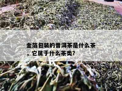 金箔包装的普洱茶是什么茶，它属于什么茶类？