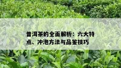 普洱茶的全面解析：六大特点、冲泡方法与品鉴技巧