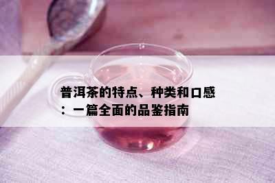 普洱茶的特点、种类和口感：一篇全面的品鉴指南