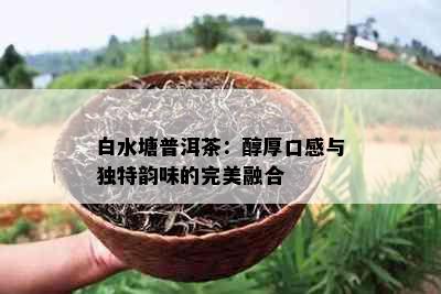 白水塘普洱茶：醇厚口感与独特韵味的完美融合