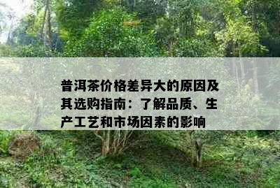 普洱茶价格差异大的原因及其选购指南：了解品质、生产工艺和市场因素的影响