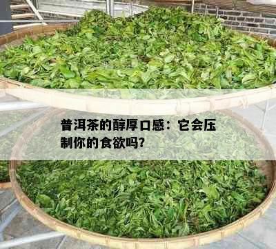 普洱茶的醇厚口感：它会压制你的食欲吗？