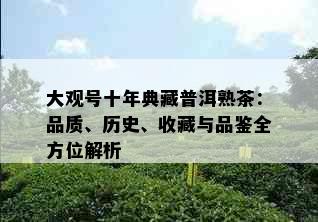 大观号十年典藏普洱熟茶：品质、历史、收藏与品鉴全方位解析