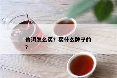 普洱怎么买？买什么牌子的？