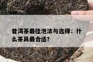 普洱茶更佳泡法与选择：什么茶具最合适？