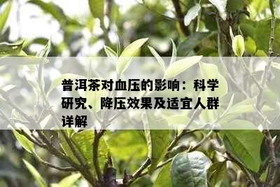 普洱茶对血压的影响：科学研究、降压效果及适宜人群详解