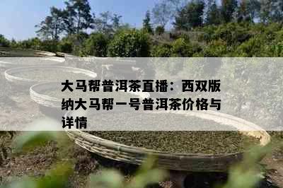 大马帮普洱茶直播：西双版纳大马帮一号普洱茶价格与详情