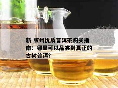 新 胶州优质普洱茶购买指南：哪里可以品尝到真正的古树普洱？