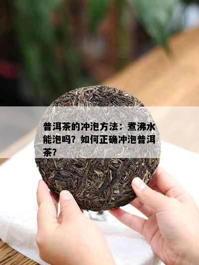 普洱茶的冲泡方法：煮沸水能泡吗？如何正确冲泡普洱茶？