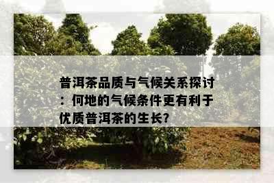 普洱茶品质与气候关系探讨：何地的气候条件更有利于优质普洱茶的生长？