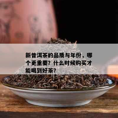 新普洱茶的品质与年份，哪个更重要？什么时候购买才能喝到好茶？