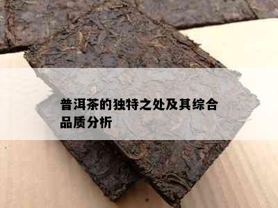 普洱茶的独特之处及其综合品质分析