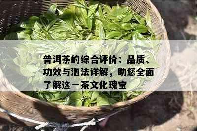 普洱茶的综合评价：品质、功效与泡法详解，助您全面了解这一茶文化瑰宝