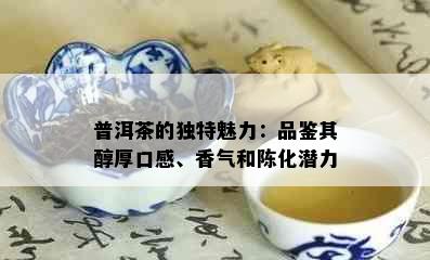 普洱茶的独特魅力：品鉴其醇厚口感、香气和陈化潜力