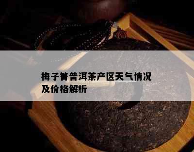 梅子箐普洱茶产区天气情况及价格解析