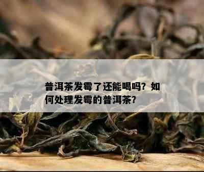 普洱茶发霉了还能喝吗？如何处理发霉的普洱茶？