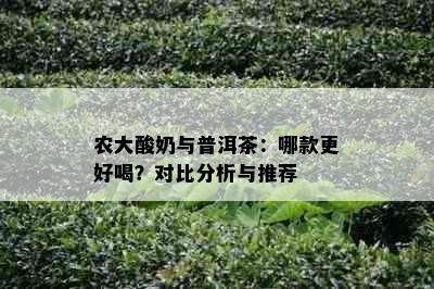 农大酸奶与普洱茶：哪款更好喝？对比分析与推荐