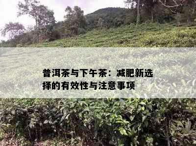 普洱茶与下午茶：减肥新选择的有效性与注意事项