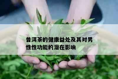 普洱茶的健康益处及其对男性性功能的潜在影响