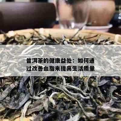 普洱茶的健康益处：如何通过改善血脂来提高生活质量