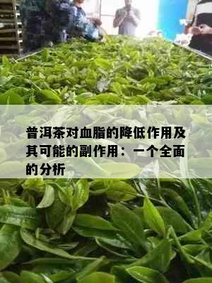 普洱茶对血脂的降低作用及其可能的副作用：一个全面的分析