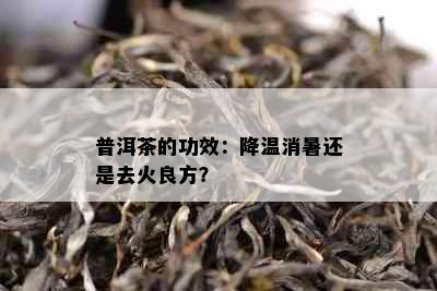 普洱茶的功效：降温消暑还是去火良方？