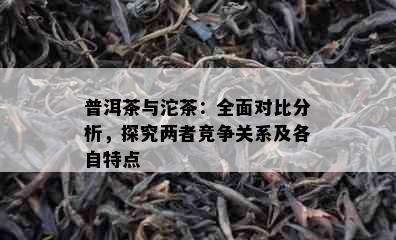 普洱茶与沱茶：全面对比分析，探究两者竞争关系及各自特点