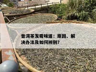 普洱茶发霉味道：原因、解决办法及如何辨别？