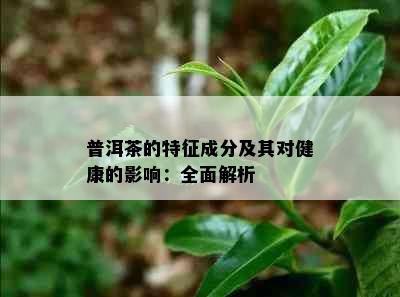 普洱茶的特征成分及其对健康的影响：全面解析