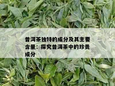 普洱茶独特的成分及其主要含量：探究普洱茶中的珍贵成分