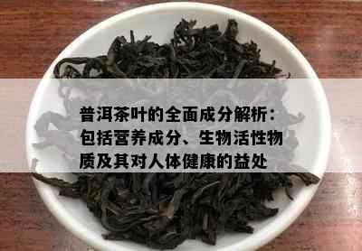 普洱茶叶的全面成分解析：包括营养成分、生物活性物质及其对人体健康的益处