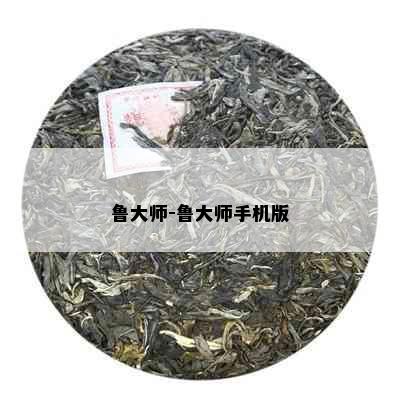 鲁大师-鲁大师手机版