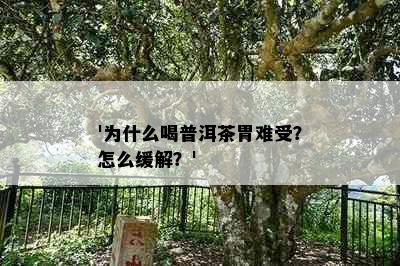 '为什么喝普洱茶胃难受？怎么缓解？'