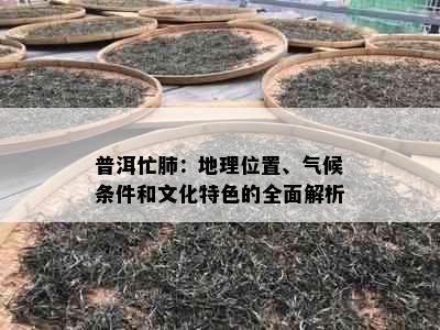 普洱忙肺：地理位置、气候条件和文化特色的全面解析