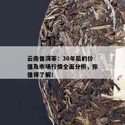 云南普洱茶：30年后的价值及市场行情全面分析，你值得了解！