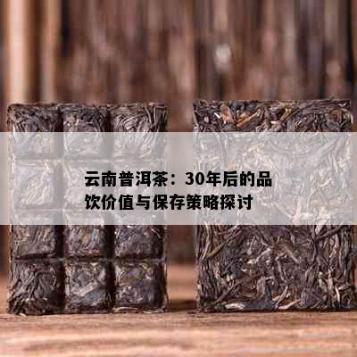 云南普洱茶：30年后的品饮价值与保存策略探讨