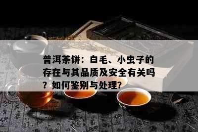 普洱茶饼：白毛、小虫子的存在与其品质及安全有关吗？如何鉴别与处理？