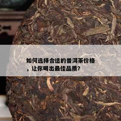 如何选择合适的普洱茶价格，让你喝出更佳品质？