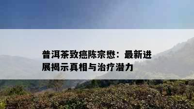 普洱茶致癌陈宗懋：最新进展揭示真相与治疗潜力